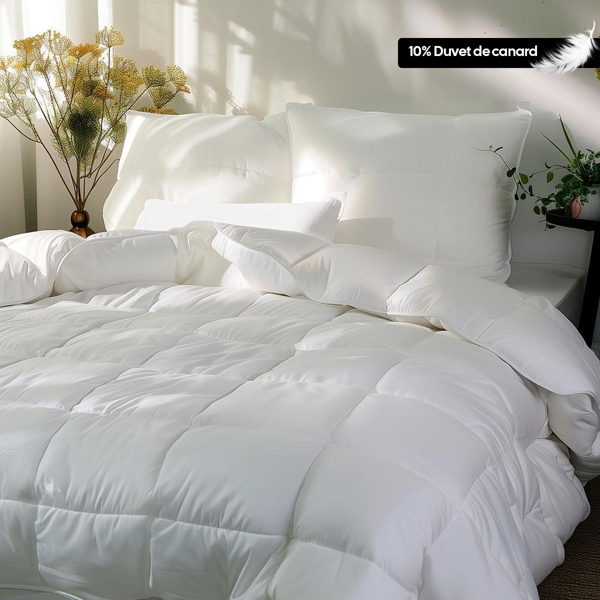 Couette premium mi-saison enveloppe 100% coton - Duvet de canard 200g