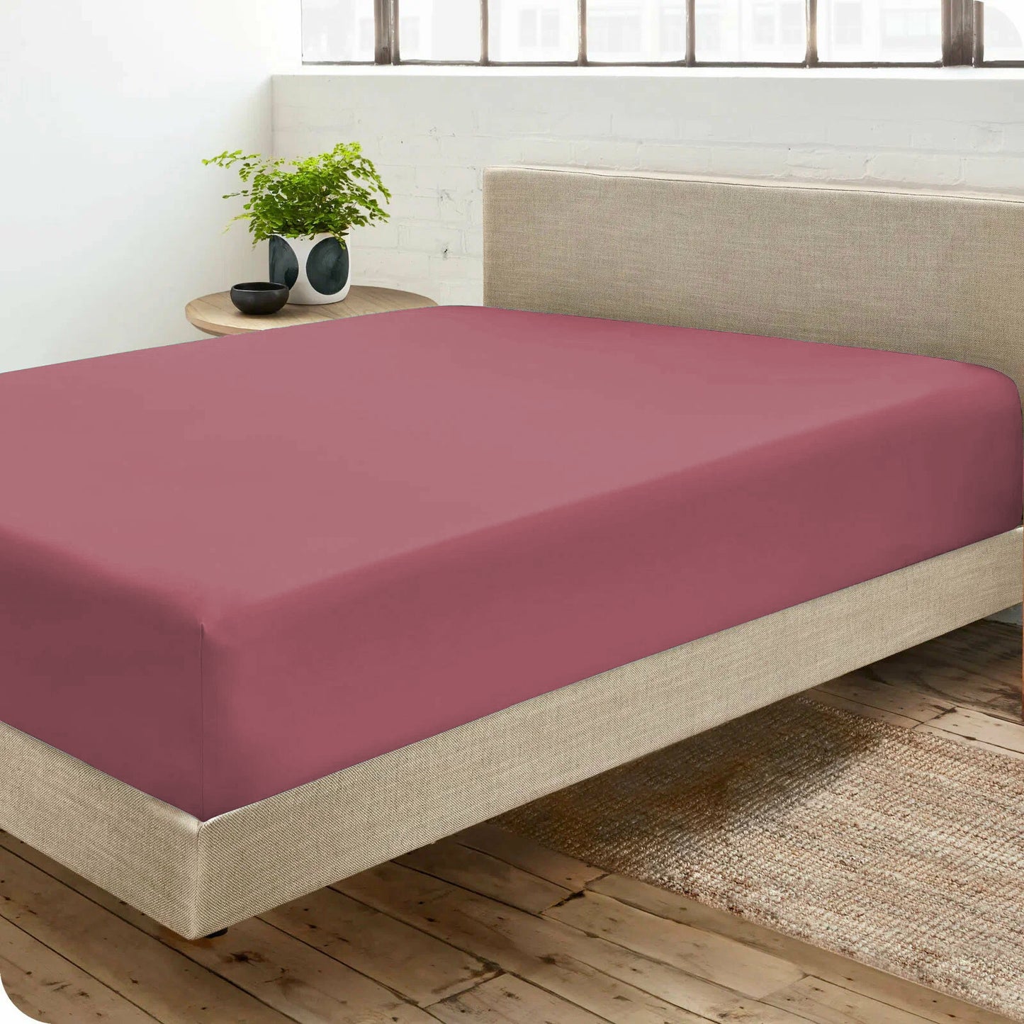 Drap housse Percale de coton