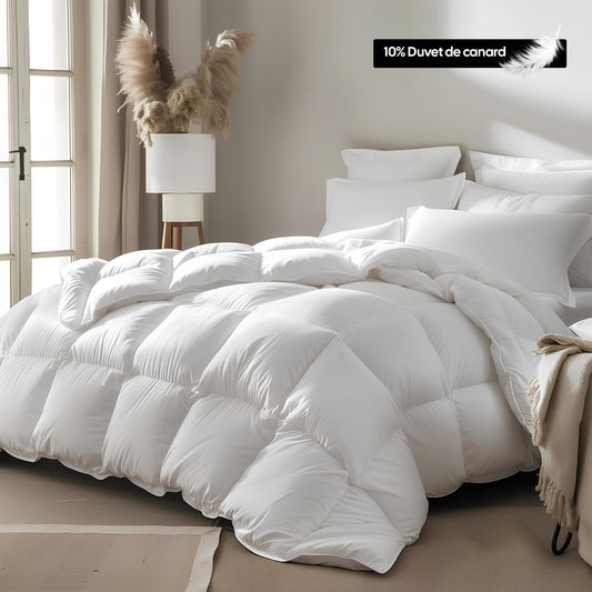 Couette premium mi-saison enveloppe 100% coton - Duvet de canard 300g