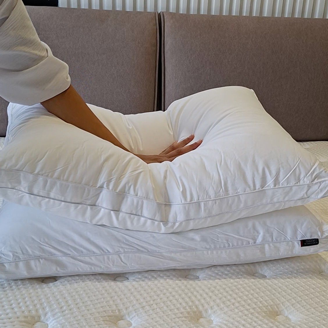 Pack 4 Oreillers moelleux 1555g - Enveloppe 100% coton 6